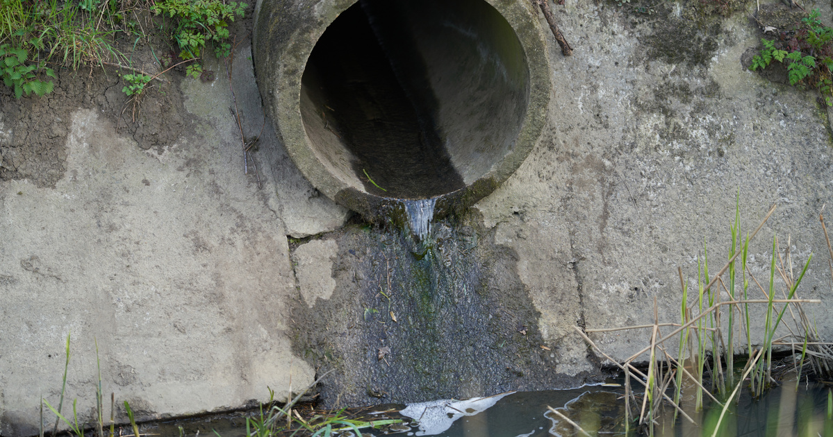 41-féle gyógyszert mutattak ki a Balaton veséjében: kiderült, mi történik a fürdővárosokból érkező vízzel