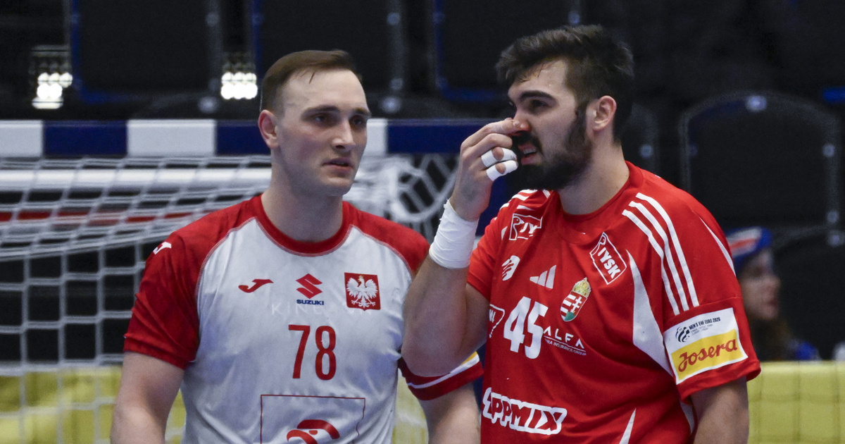 Súlyos büntetést kapott a magyar kézist leütő lengyel játékos