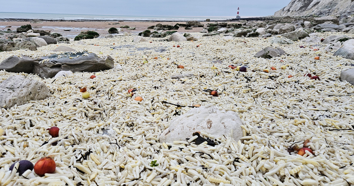 Több ezer zacskó sült krumpli terítette be az angol tengerpartot