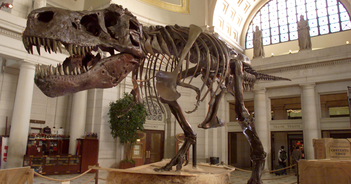 Évtizedekig tévedtek a tudósok, fény derült a dinoszauruszok királyának legnagyobb titkára