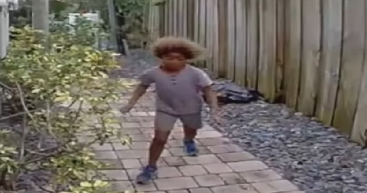 Másfél millió forintnyi nyomravezetői díj a vadkacsát kegyetlenül halálra taposó gyerek fejére