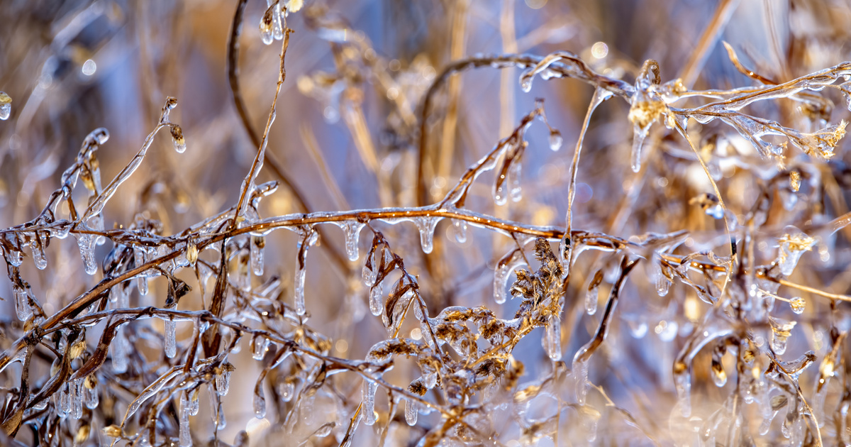 Több mint a fél országra kiadták a riasztást: ónos eső csap le ezekben a vármegyékben pénteken
