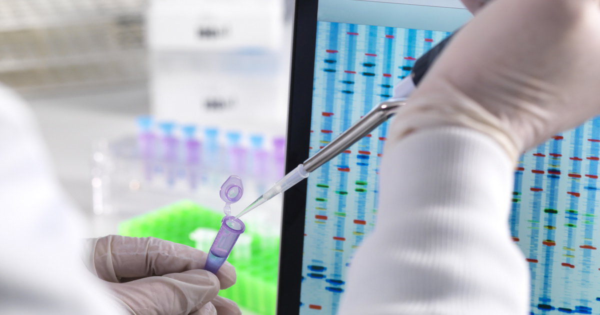 Új génmódosított élelmiszerekkel veszélyeztetné a lakosságot egy EU-s szabályozás