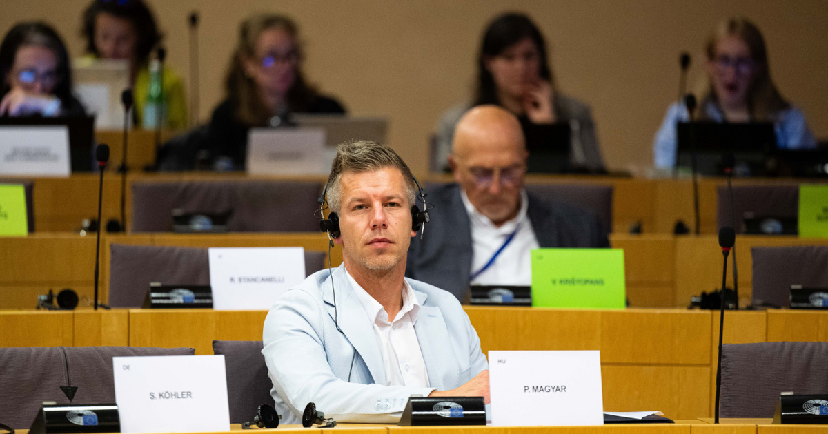 Nagy Attila Tibor szerint Magyar Péternek jól jön a büntetés, amit a Néppárttól kapott