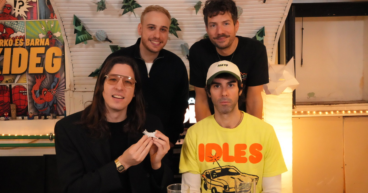 Márkó és Barna Síkideg: Zenekari beállás