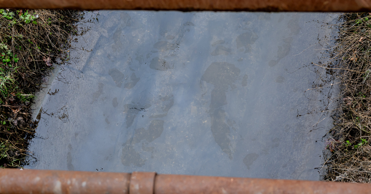 Továbbra is olajos víz folyik a Rákos-patakban, már a Dunát is elérhette a szennyeződés