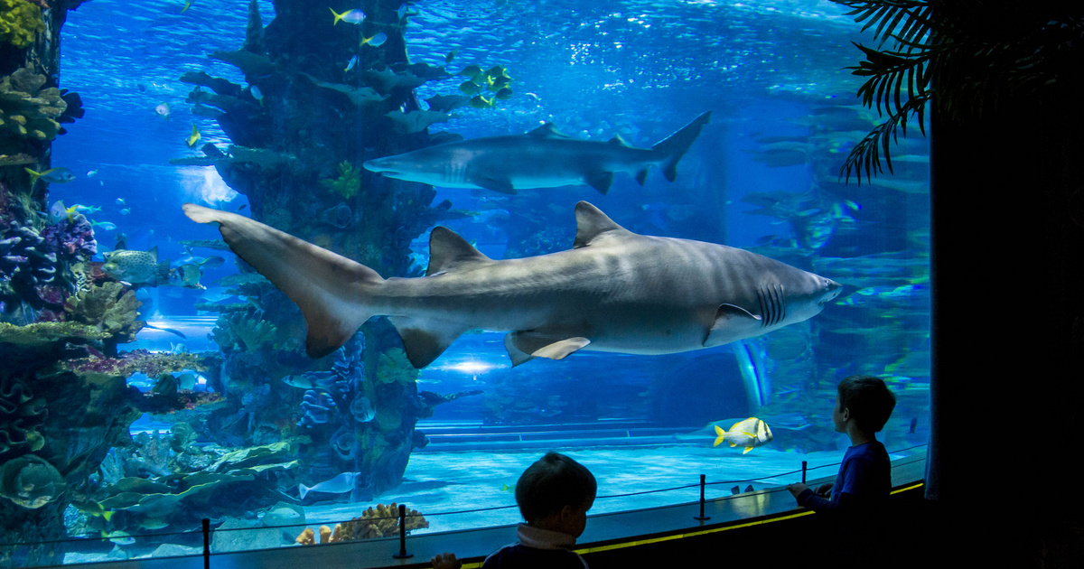 Túl kevés az élmény? – 5 tuti helyet mutatunk a hideg napokra