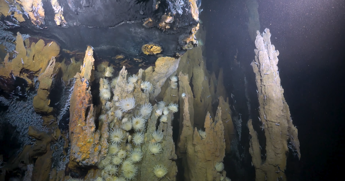 Elveszett város rejtőzik a mélyben, amelyhez foghatót még sosem láttunk a Földön