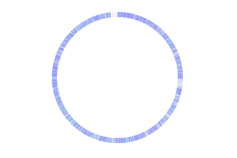 A Kaliforniai Egyetem kutatói áltla összeállított géntérkép