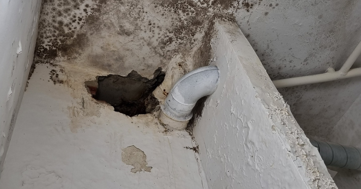 „A magyar pszichiátriai ellátás a szemünk alatt zuhan a mélybe” – közegészségügyi krízisről beszél az orvosi kamara