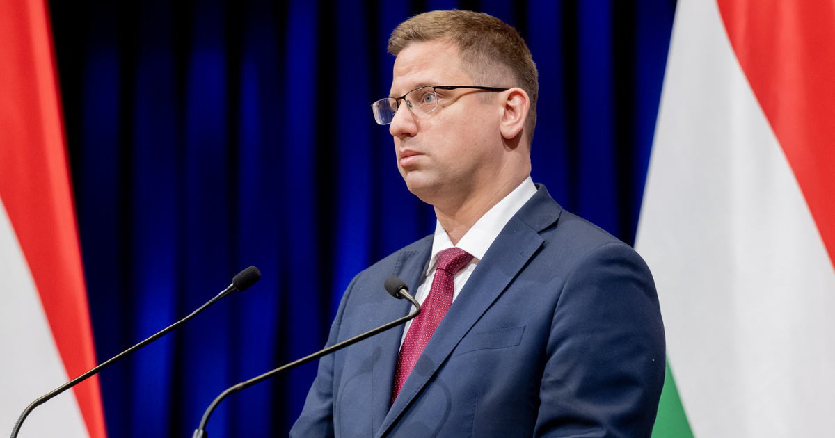 Gulyás Gergely az Indexnek: Önmagában a hülyeség nem jogellenes