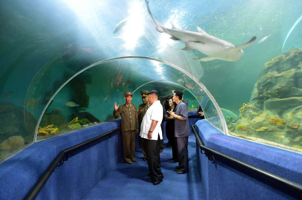 Július 6. Az észak-koreai vezető ezúttal egy nagy akváriumban. A kép különlegessége még, hogy ezen nem rá figyel mindenki, hanem ő is egy magyarázó katonát hallgat.