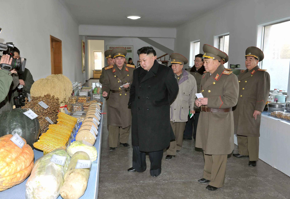 Január 12., Kim Dzsongun megtekintette az észak-koreai hadsereg 534-es egységének parancsnokságán az ellátmányt. A tavaszi szárazság miatt az ENSZ Világélelmezési Programja (WFP) szerint Észak-Koreában 2011 óta a legalacsonyabbra, napi 250 gramm rizsre csökkentették az élelmiszer-fejadagot augusztusban.