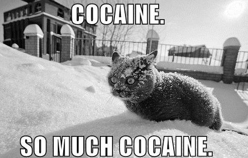 so-much-cocaine