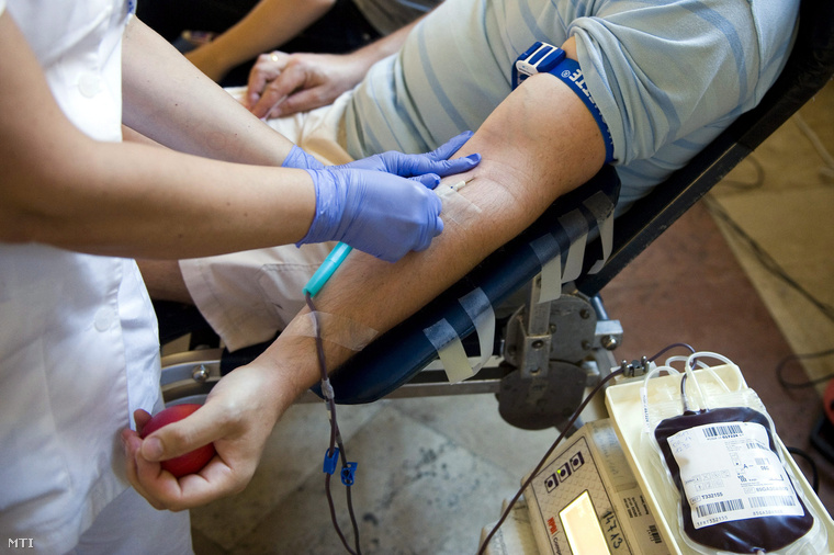 Egy véradótól vért vesznek a véradók világnapján a Budapesti Corvinus Egyetem E épületében 2013. június 14-én ahol a Magyar Vöröskereszt véradást szervezett.