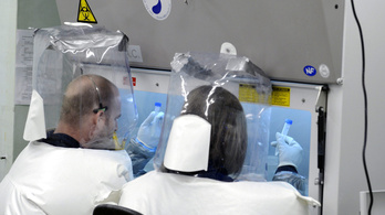 Ebolamintákat hozhatnak Magyarországra