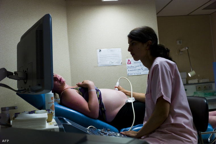 Helminti a terhes nő