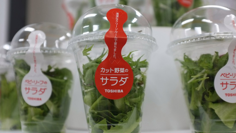 toshiba-salad-package