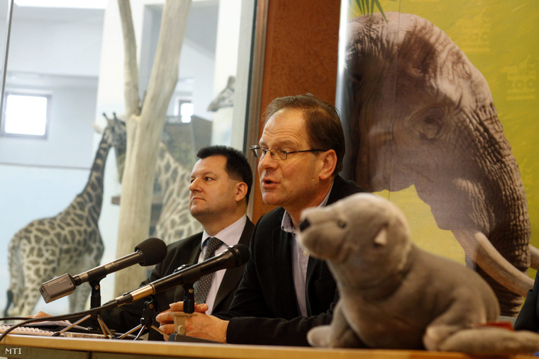 Navracsics Tibor miniszterelnök-helyettes a veszprémi a Kittenberger Kálmán Növény-és Vadasparkban tartott sajtótájékoztatón 2014. február 6-án.