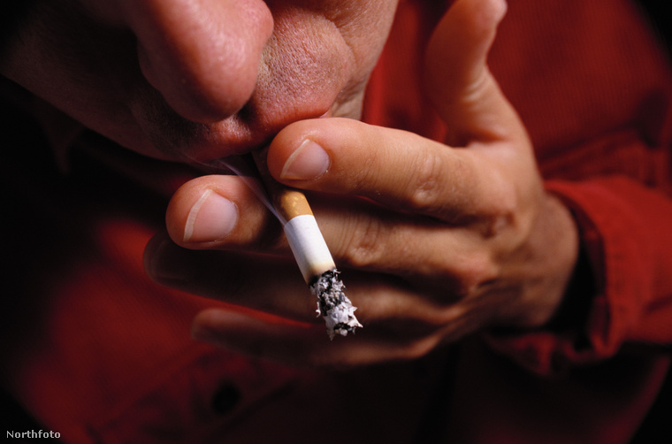 Népegészségtan 1. - A dohányzás megelőzése - MeRSZ