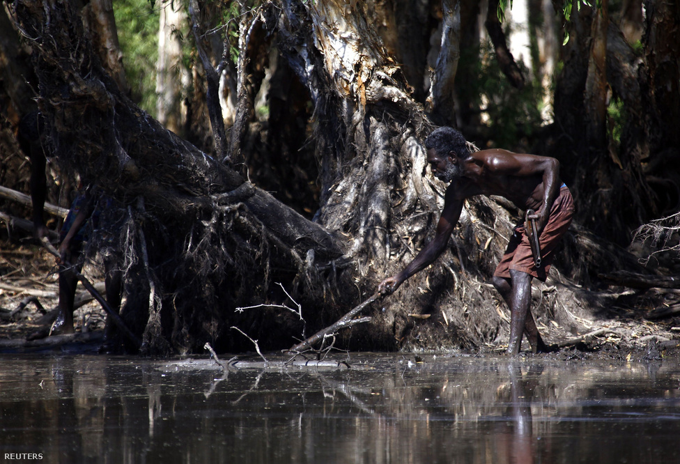 Roy Gaykamangu, a yolngu törzs tagja bottal keresi a víz alatt közeledő krokodilt. Az észak-ausztráliai Northern Territoryn élnek az ősi kultúrájukat leginkább megőrző bennszülött csoportok. A magyarországnyi területen mindössze 16 ezer ember él, idegenek csak külön engedéllyel léphetnek be ide.