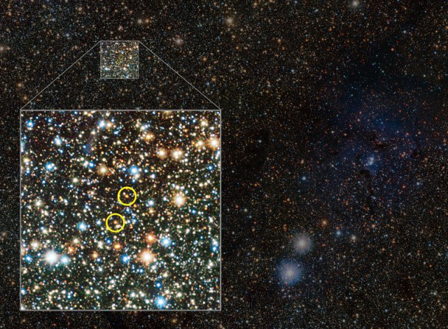 Az infravörös tartományban olyan objektumok is látszanak, amelyek a látható tartományban rögzített képeken nem, például a most felfedezett, sárga körökkel jelölt két cefeida típusú változócsillag, amelyek a Tejútrendszer középpontján túl vannak, tőlünk mintegy 37 ezer fényév távolságra. (ESO / VVV consortium / D. Minniti)