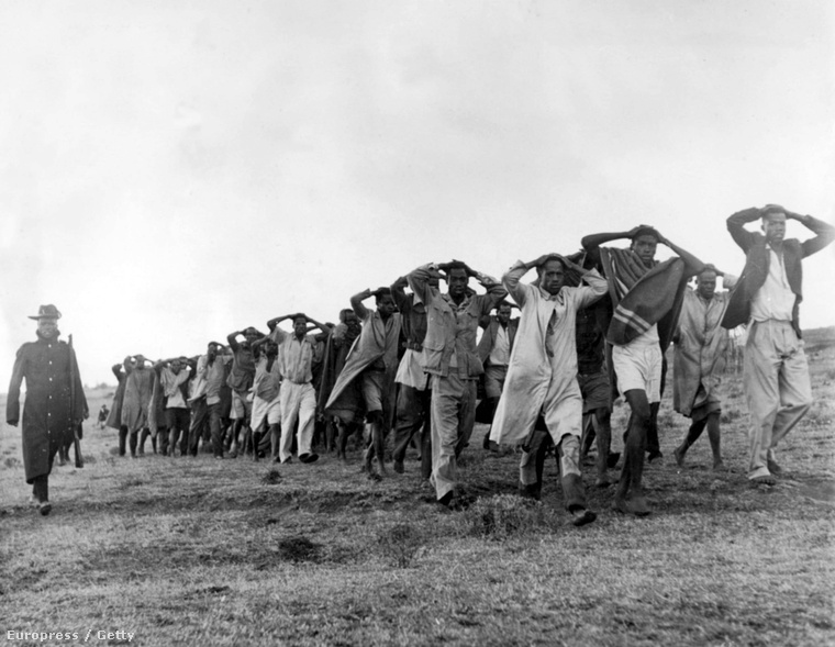 A Mau Mau felkelés leverése, 1952, Kenya