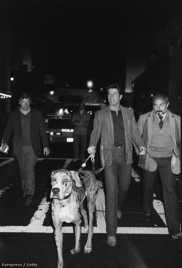 John Travolta a dán dogját sétáltatja New York utcáin, nagyjából a Grease forgatása alatt, a hetvenes évek végén.