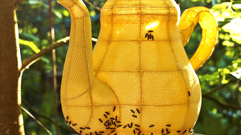 Így lehet építőmunkásnak befogni 60 ezer méhet - 22 érdekes cikk