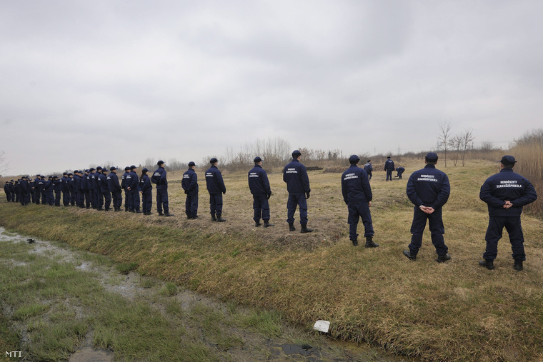 A Szegedi Rendészeti Szakközépiskola hallgatói átkutatnak egy füves területet Szeged-Kiskundorozsmán a Vásártér soron 2015. február 25-én, ahol előző este megtalálták egy 37 éves budapesti férfi holttestét.