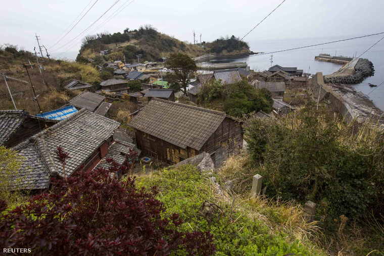 A Japán déli részén található aprócska sziget, Aoshima lakói eredetileg azért telepítettek be macskákat, hogy azok elpusztítsák a halászbárkákat ellepő egereket .