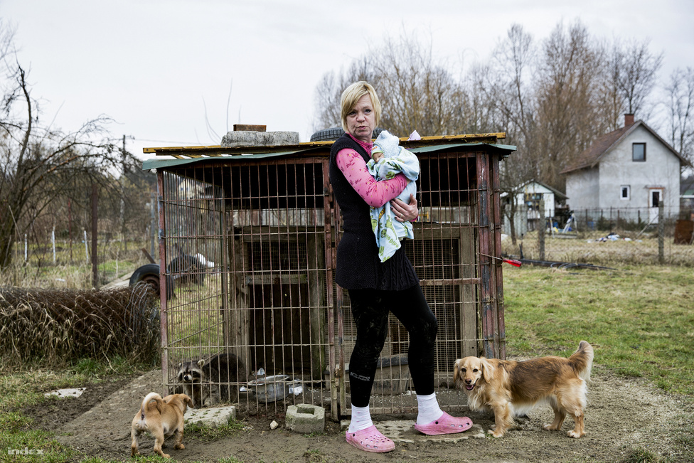 Edina 46 éves, van egy felnőtt fia, egy Budapest-környéki település tanyáján él 17 kutyával, egy mosómedvével és a férjével. Volt már bábszínész, óvónő, most pedig egy kutyamenhelyen dolgozik, a tanyán pedig mentett kistestű- és kölyök kutyákat lát el. Körülbelül 10 éve, az eBayen látott először reborn babát, és azonnal szeretett volna egyet. Mivel nehéz anyagi körülmények között él, babáinak az árát az élelmiszerre szánt pénzből spórolta össze. „A férjem kamionos, amikor külföldre megy, mindig hagy itt pénzt ennivalóra, abból teszek félre 500-1000 forintonként”. Edina kilencszer várt kisbabát, de csak egy született egészségesen, élve közülük. Edina a barátai szerint az élethű babákkal pótcselekvést végez, gyakran nevezik betegnek emiatt. De őt nem zavarják a negatív vélemények, szeret babázni, rendszeresen öltözteti, pelenkázza a kicsiket. Adományokból rengeteg babaruhája, hordozója és babakocsija is van, abban szokta tologatni babáit. A fotón Csegőt tartja a mosómedve ketrece előtt, másik babája, Panka éppen hajmegújító beültetésen a készítőjénél van.
                        