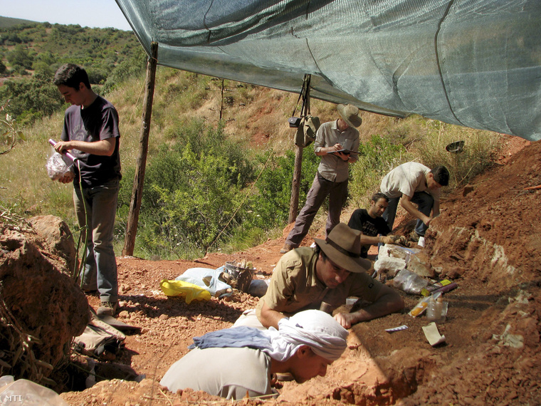 Az Edinburghi Egyetem által 2015. március 24-én közreadott képen az intézmény kutatói szalamandracsontokat tárnak fel egy ásatáson a dél-portugáliai Loule közelében 2010 júniusában.