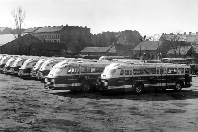 A FAÜ-nek szállított első húsz autóbusz felsorakozása szemlére a Mező garázsban 1959. március 20-án
                        