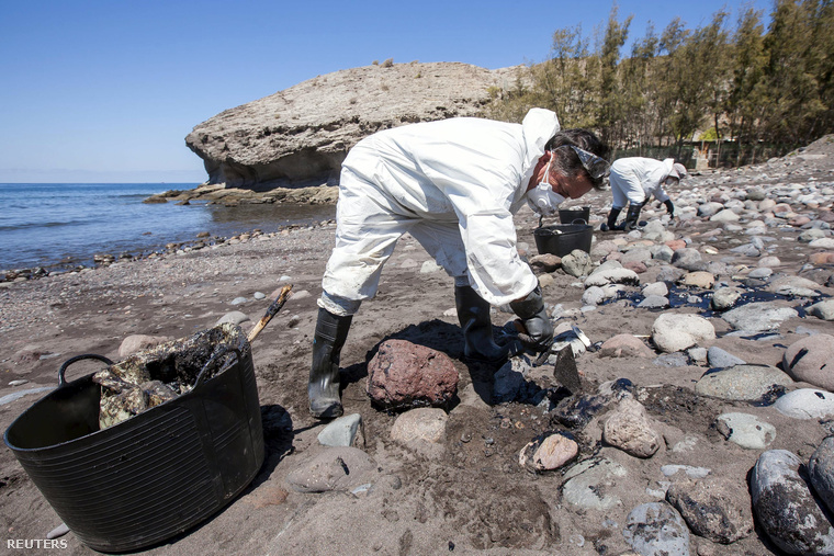 Fűtőolaj-szennyezést gyűjtenek a kanári-szigeteki Veneguera strand partjain