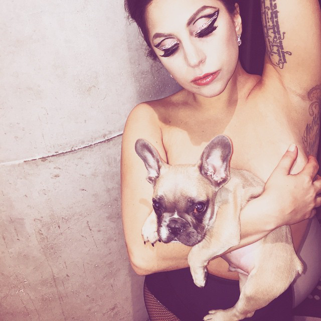 Lady Gaga szintén, sőt a kutyája is