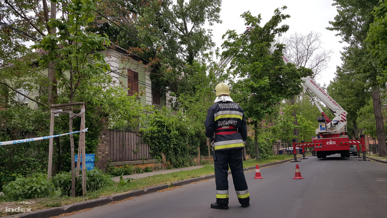 Tűzoltók dolgoznak Budapest XI. kerületében, a Kanizsai utcában, ahol kidőlt egy fa, az utcát lezárták.