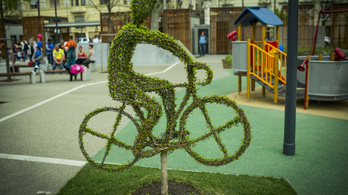 Láttátok már a bringás alakú fát az Olimpiai parkban?