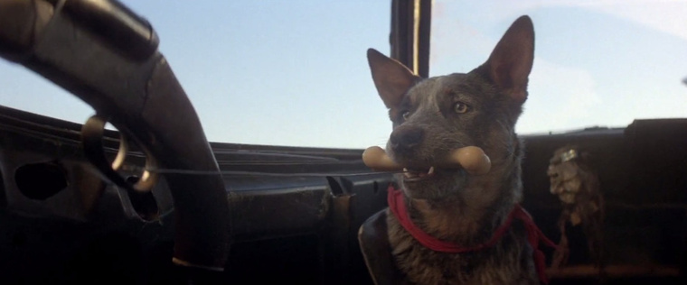 A film egyik legjobb jelenete, ahogy a kutya shotgunnal őrzi Max utastársát.