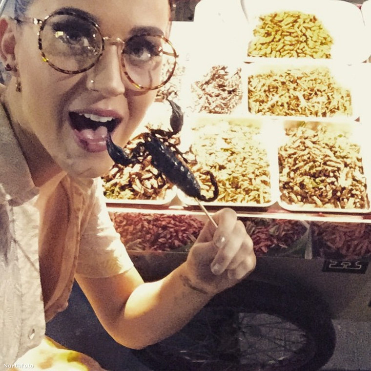 Katy Perry egy skorpióval a szájában élvezte Bangkokot.