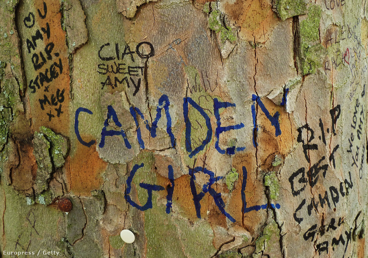 Ilyen feliratok díszítik azóta is Winehouse camdeni házát, sokáig szentélynek számított.