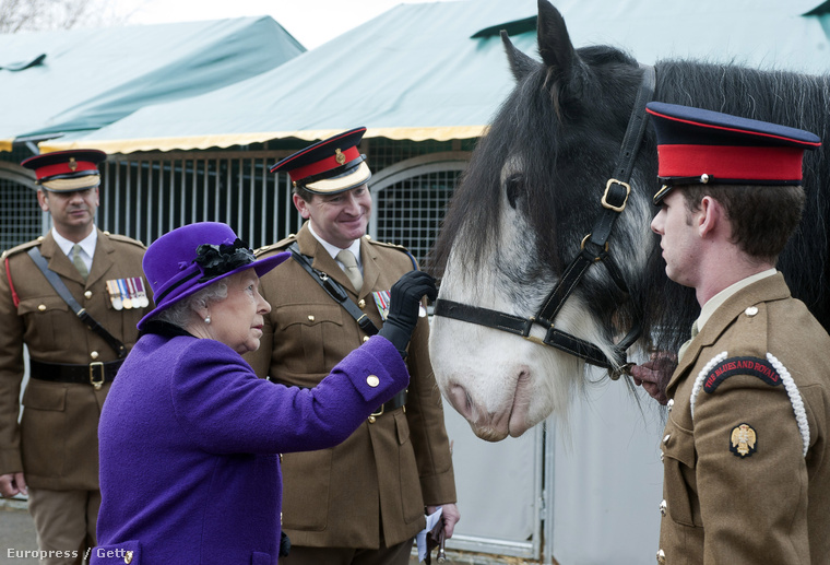 A királynő imádja a lovakat és a lóversenyeket is